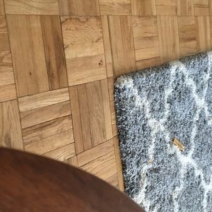 Meet your Posher, Savoy